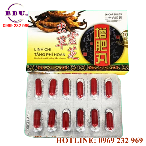 Giúp tăng cân nhanh chóng, an toàn 